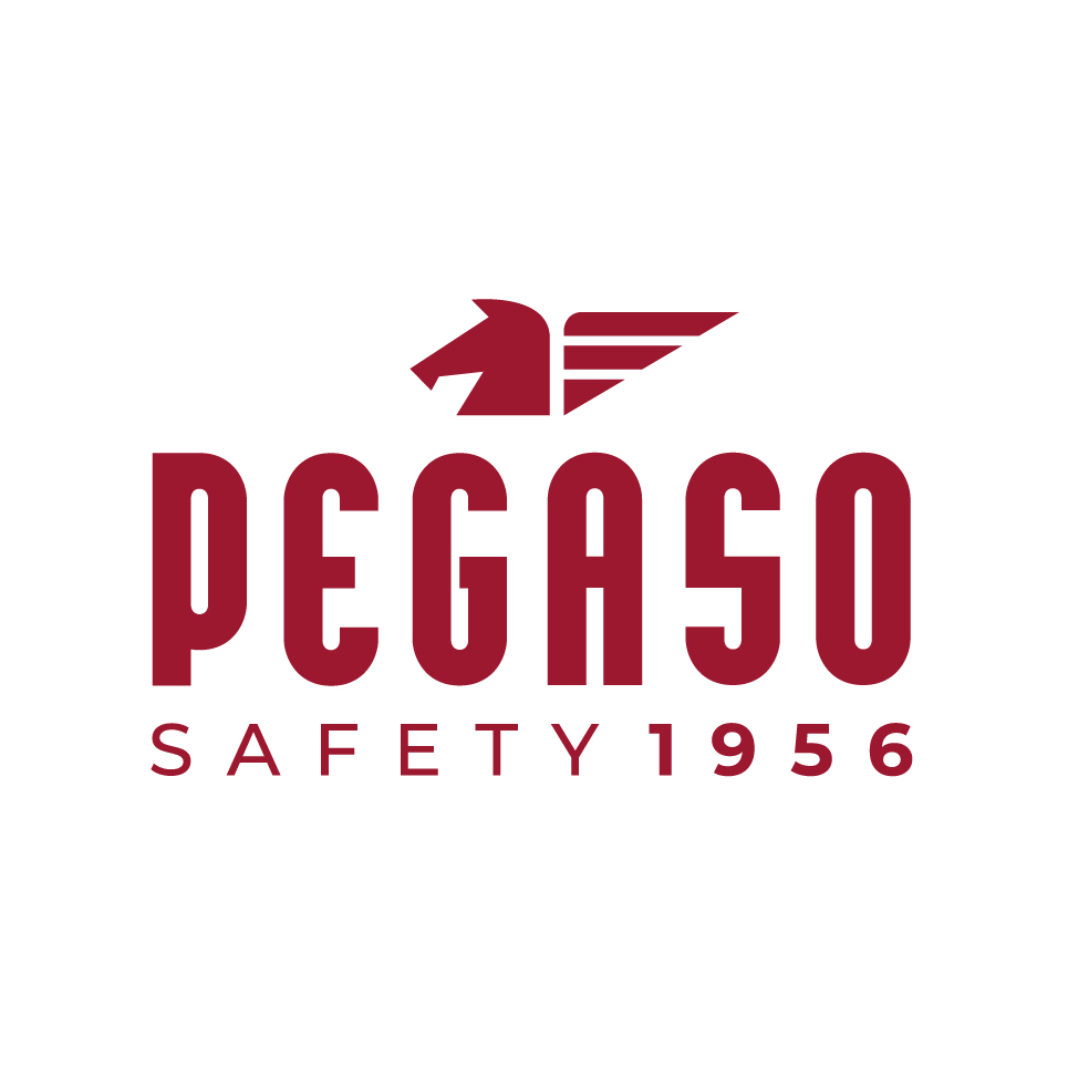 Pegaso